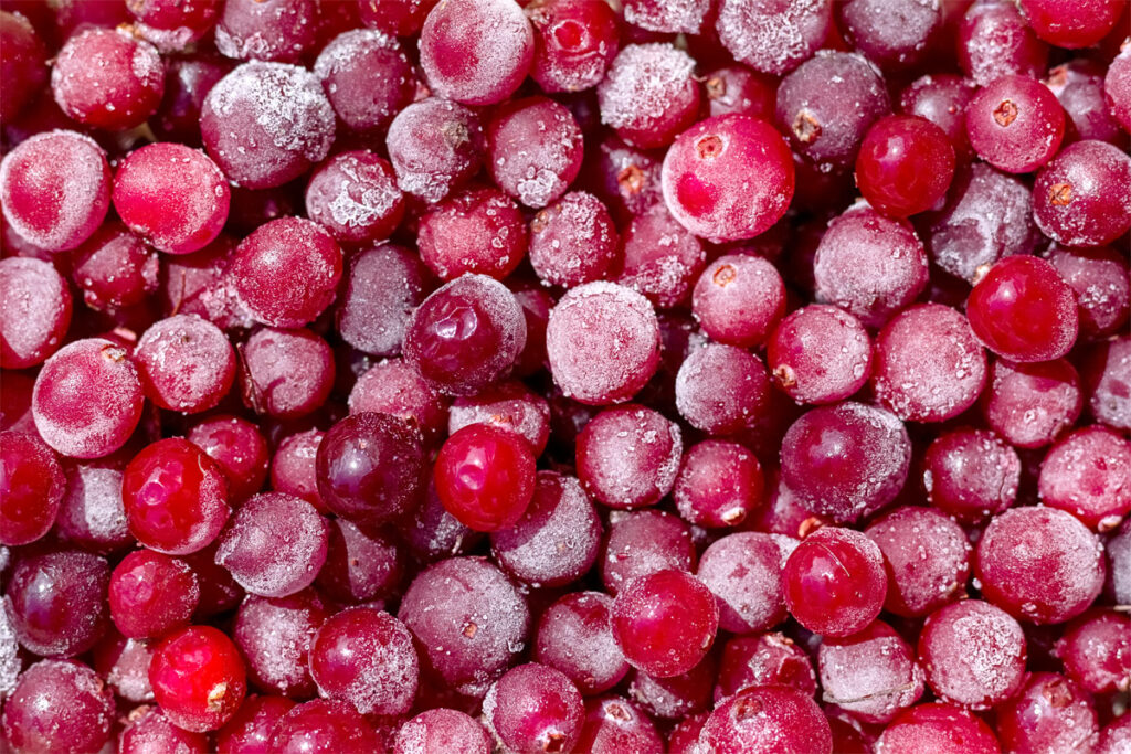 eingefrorene Cranberrys